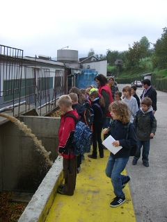 Apfelwaschstraße bei Kelterei Falter